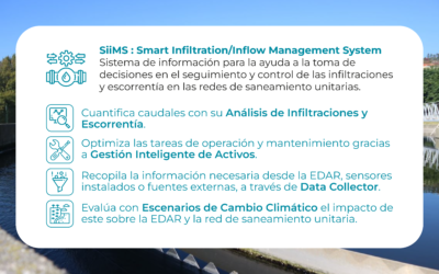 Aplicación web para tomar mejores decisiones en las redes de saneamiento: Conoce la innovadora tecnología SiiMS